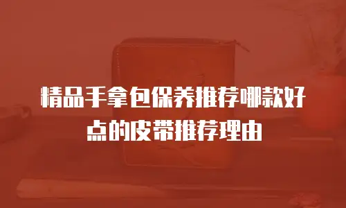 精品手拿包保养推荐哪款好点的皮带推荐理由