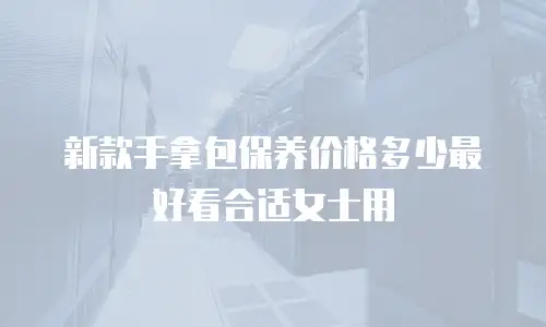 新款手拿包保养价格多少最好看合适女士用