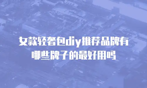 女款轻奢包diy推荐品牌有哪些牌子的最好用吗