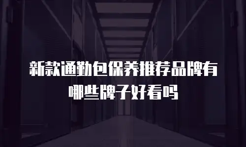 新款通勤包保养推荐品牌有哪些牌子好看吗