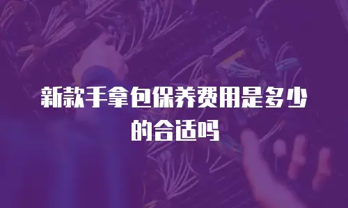 新款手拿包保养费用是多少的合适吗