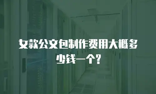 女款公文包制作费用大概多少钱一个?
