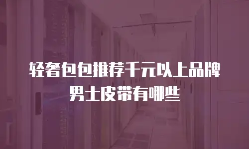 轻奢包包推荐千元以上品牌男士皮带有哪些