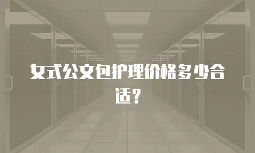 女式公文包护理价格多少合适？