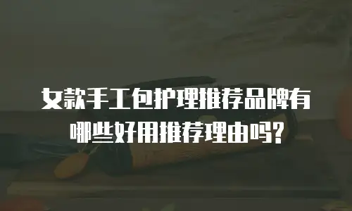 女款手工包护理推荐品牌有哪些好用推荐理由吗?