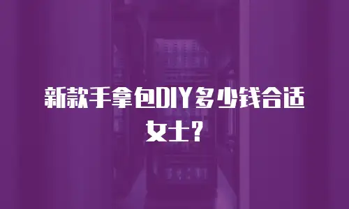 新款手拿包DIY多少钱合适女士？
