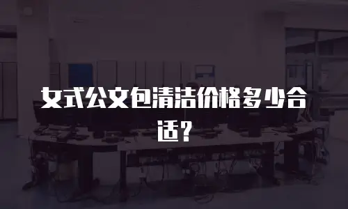 女式公文包清洁价格多少合适？
