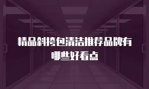 精品斜挎包清洁推荐品牌有哪些好看点
