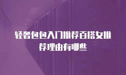 轻奢包包入门推荐百搭女推荐理由有哪些