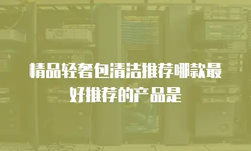 精品轻奢包清洁推荐哪款最好推荐的产品是
