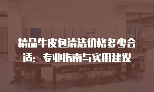 精品牛皮包清洁价格多少合适：专业指南与实用建议