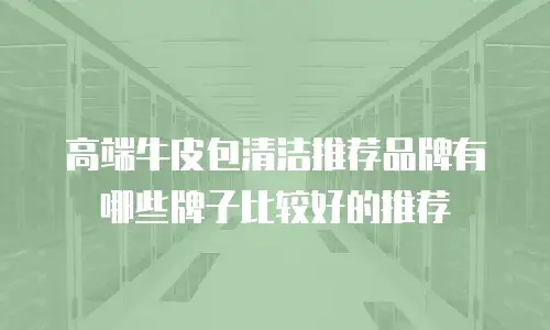高端牛皮包清洁推荐品牌有哪些牌子比较好的推荐