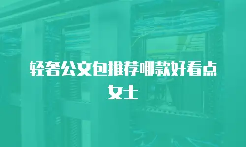 轻奢公文包推荐哪款好看点女士