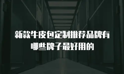新款牛皮包定制推荐品牌有哪些牌子最好用的