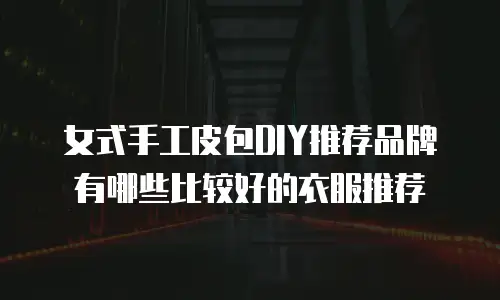 女式手工皮包DIY推荐品牌有哪些比较好的衣服推荐