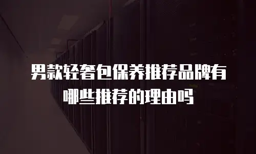 男款轻奢包保养推荐品牌有哪些推荐的理由吗