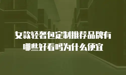 女款轻奢包定制推荐品牌有哪些好看吗为什么便宜