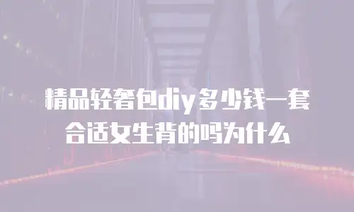 精品轻奢包diy多少钱一套合适女生背的吗为什么