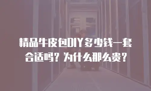 精品牛皮包DIY多少钱一套合适吗？为什么那么贵？