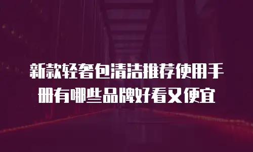 新款轻奢包清洁推荐使用手册有哪些品牌好看又便宜