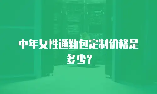  中年女性通勤包定制价格是多少？