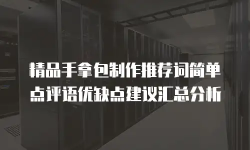 精品手拿包制作推荐词简单点评语优缺点建议汇总分析