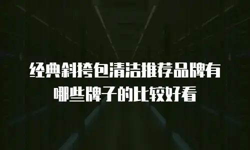 经典斜挎包清洁推荐品牌有哪些牌子的比较好看
