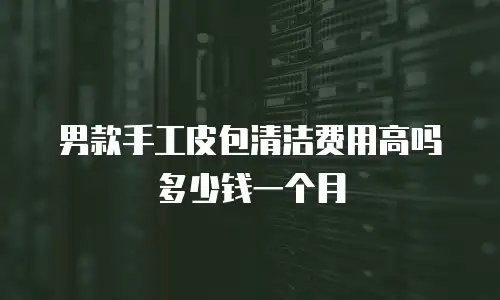 男款手工皮包清洁费用高吗多少钱一个月