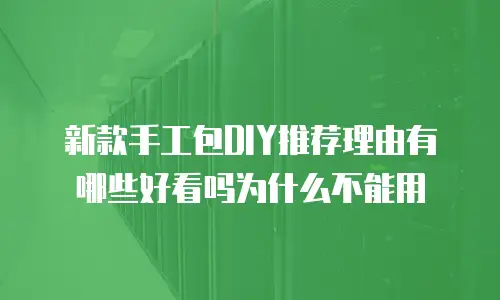 新款手工包DIY推荐理由有哪些好看吗为什么不能用