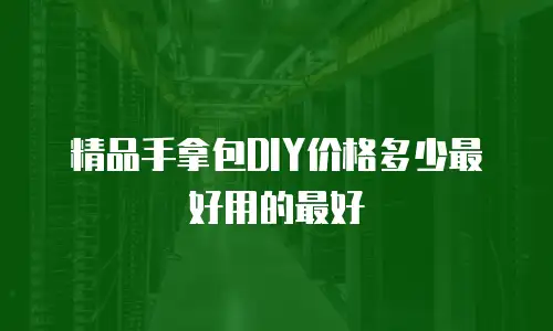 精品手拿包DIY价格多少最好用的最好