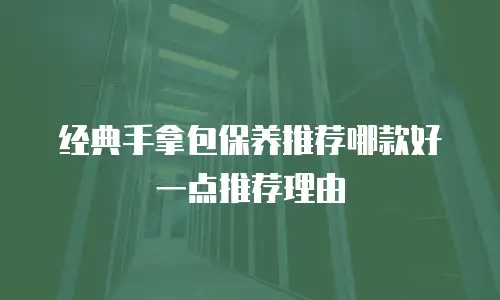经典手拿包保养推荐哪款好一点推荐理由