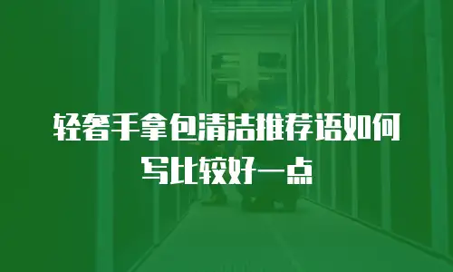 轻奢手拿包清洁推荐语如何写比较好一点