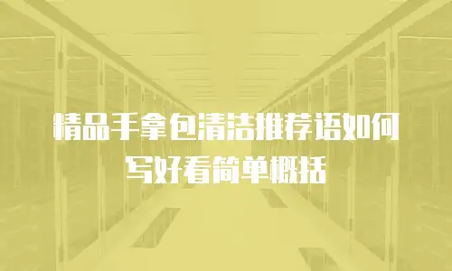 精品手拿包清洁推荐语如何写好看简单概括