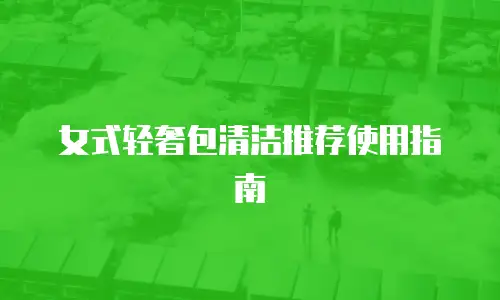 女式轻奢包清洁推荐使用指南