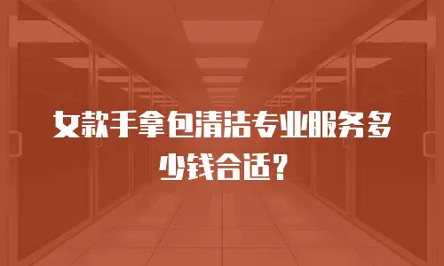 女款手拿包清洁专业服务多少钱合适？