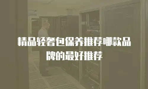 精品轻奢包保养推荐哪款品牌的最好推荐