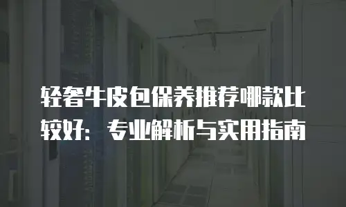 轻奢牛皮包保养推荐哪款比较好：专业解析与实用指南