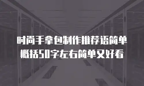 时尚手拿包制作推荐语简单概括50字左右简单又好看