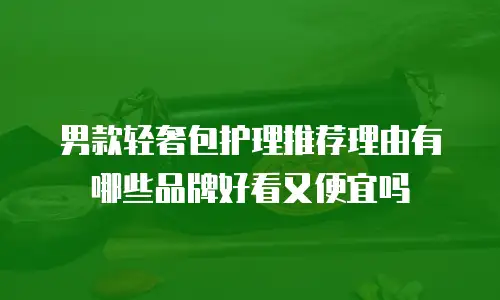 男款轻奢包护理推荐理由有哪些品牌好看又便宜吗