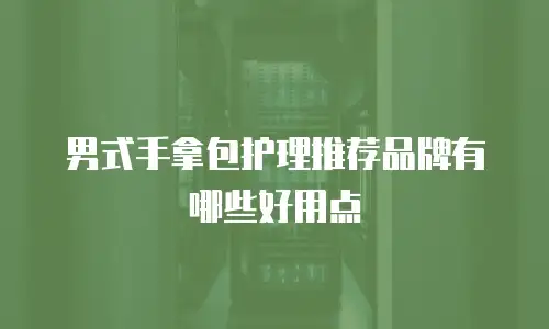 男式手拿包护理推荐品牌有哪些好用点