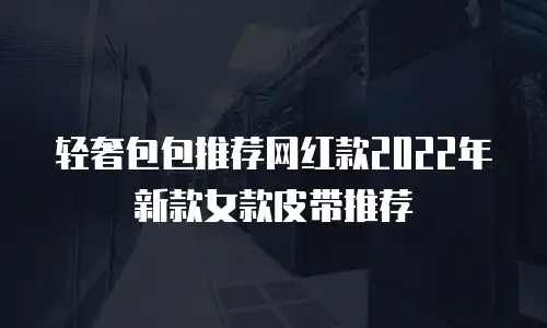 轻奢包包推荐网红款2022年新款女款皮带推荐