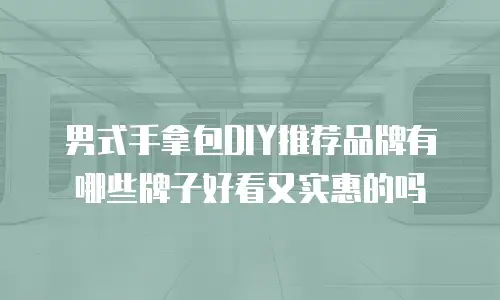 男式手拿包DIY推荐品牌有哪些牌子好看又实惠的吗
