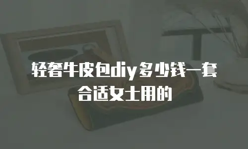 轻奢牛皮包diy多少钱一套合适女士用的