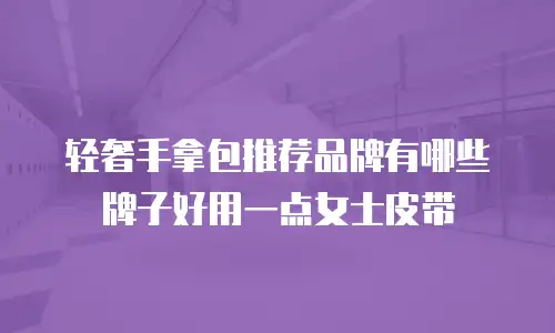 轻奢手拿包推荐品牌有哪些牌子好用一点女士皮带
