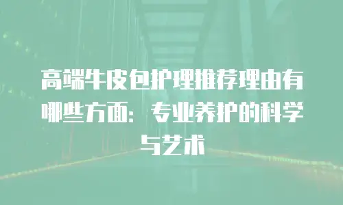 高端牛皮包护理推荐理由有哪些方面：专业养护的科学与艺术