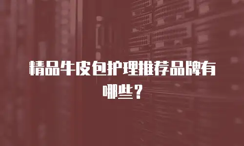 精品牛皮包护理推荐品牌有哪些？