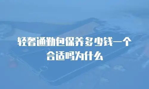 轻奢通勤包保养多少钱一个合适吗为什么