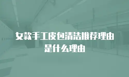 女款手工皮包清洁推荐理由是什么理由