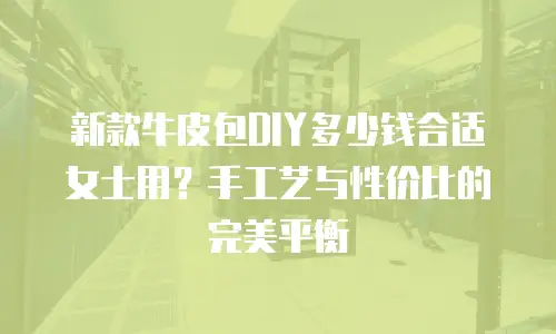 新款牛皮包DIY多少钱合适女士用？手工艺与性价比的完美平衡