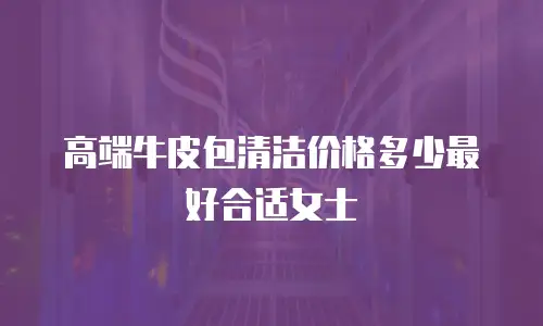 高端牛皮包清洁价格多少最好合适女士